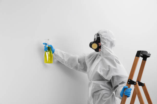 Best Mold Remediation for Healthcare Facilities  in Sullivan, IL